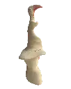 BEDE-047c, Untitled, Benjamin Deguenon, 2025, painted ceramics, 29x15x14cm.webp