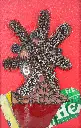 Inconnus Connue Inconnus IV, 2023